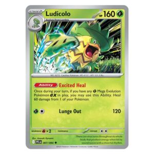 007/094 - LUDICOLO COMMON